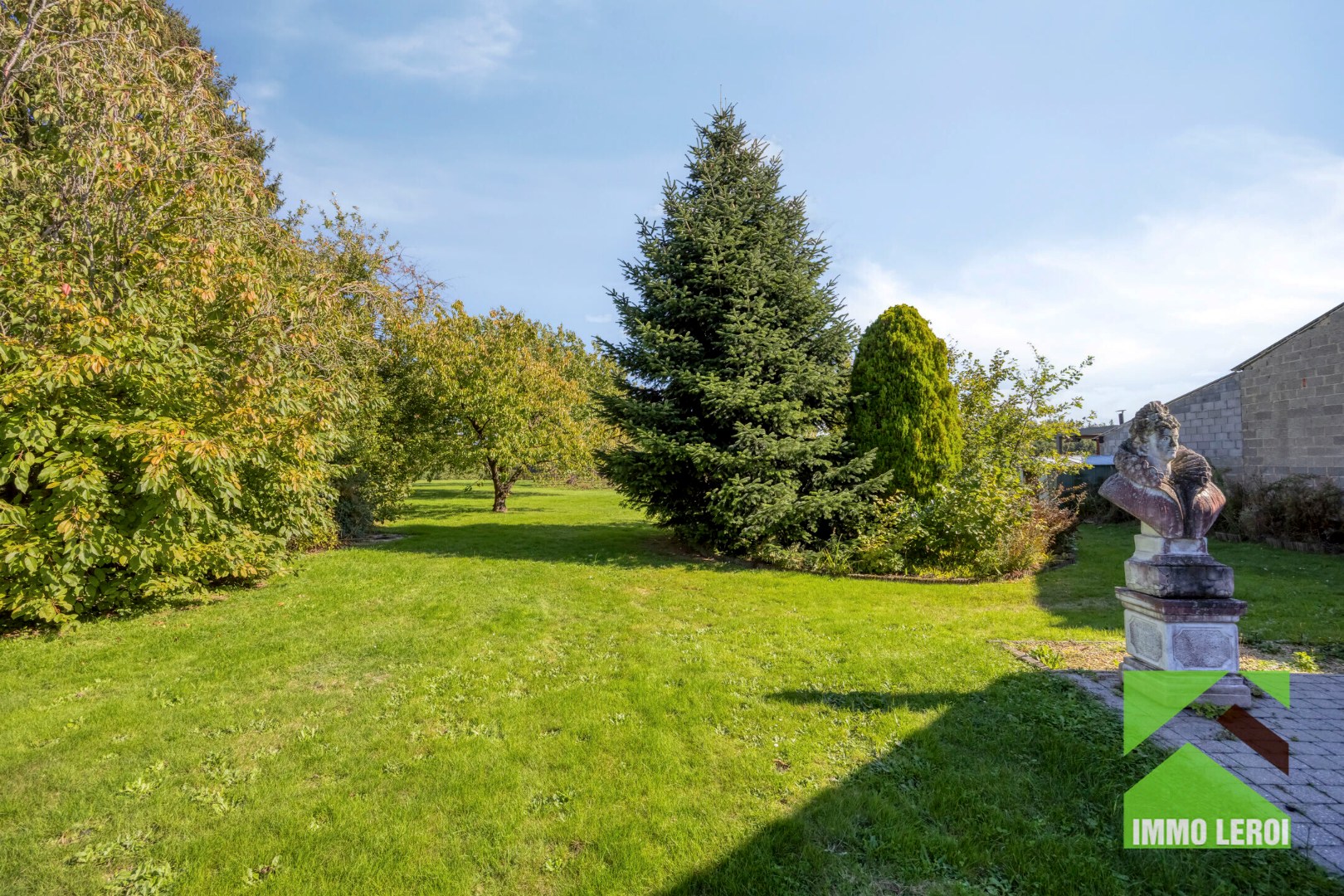 Ruime tuin met bomen