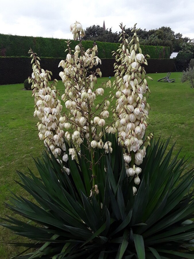 Ruime, stijlvolle villa op 21 are, vlot bereikbaar E17 (Kortrijk - Gent) 