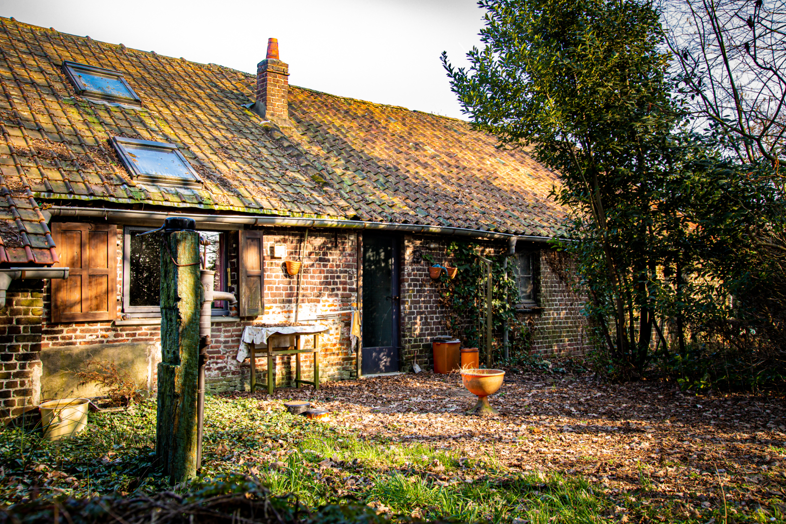 Charmante hoevewoning op 2.772 m²  op 1,5km van centrum Evergem 