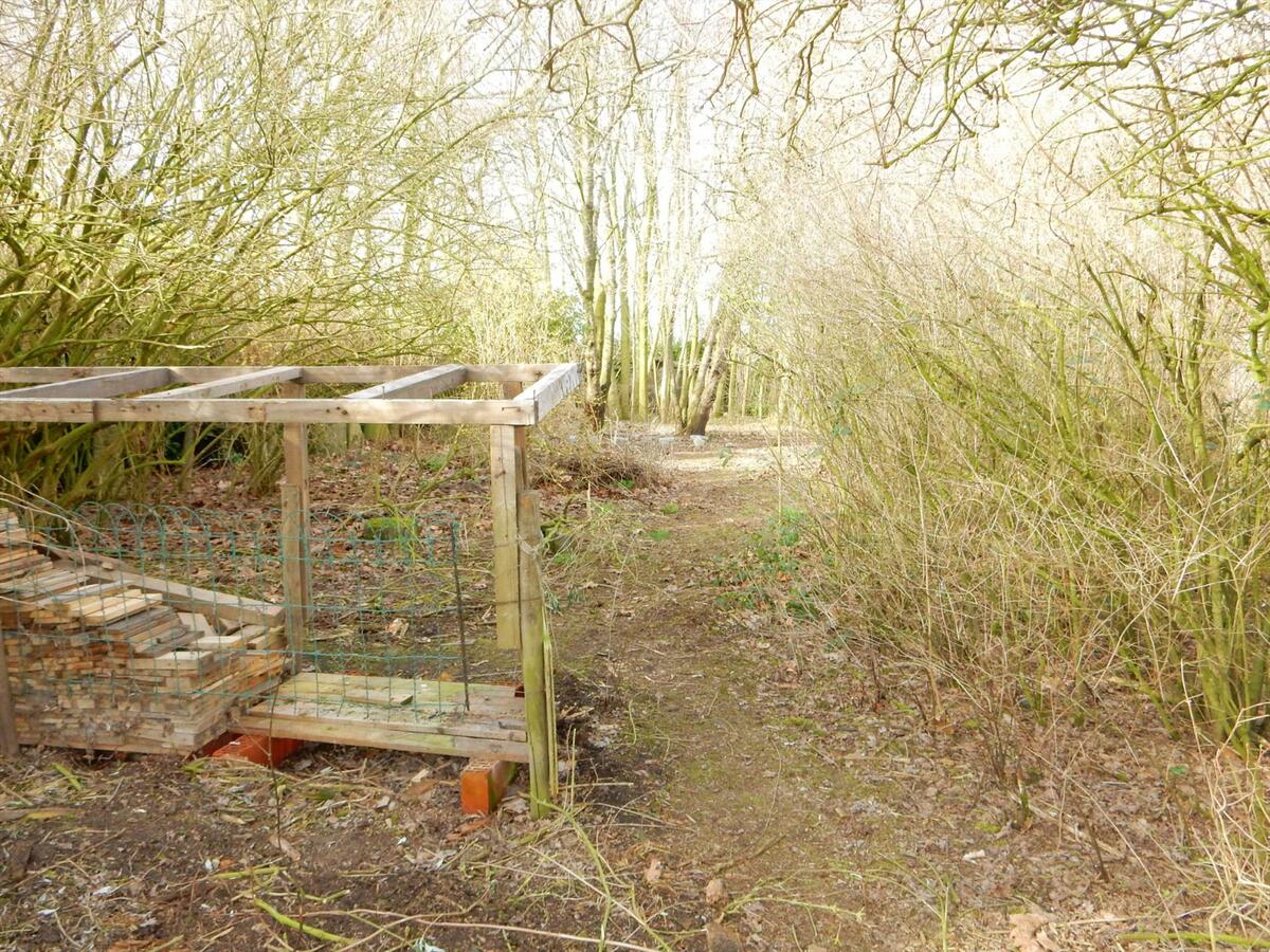 Rustig gelegen woning op 1.395m² 