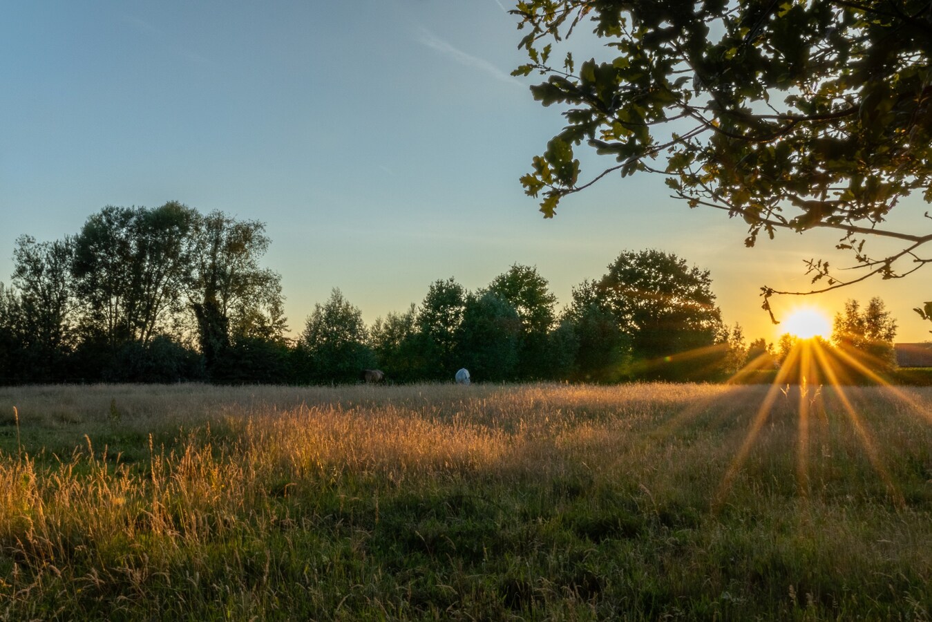 Exclusieve nieuwbouwvilla met zicht op natuur te Destelbergen 