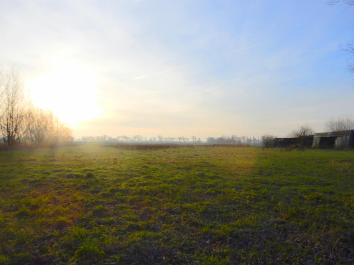 Weiland te koop Stalhille 