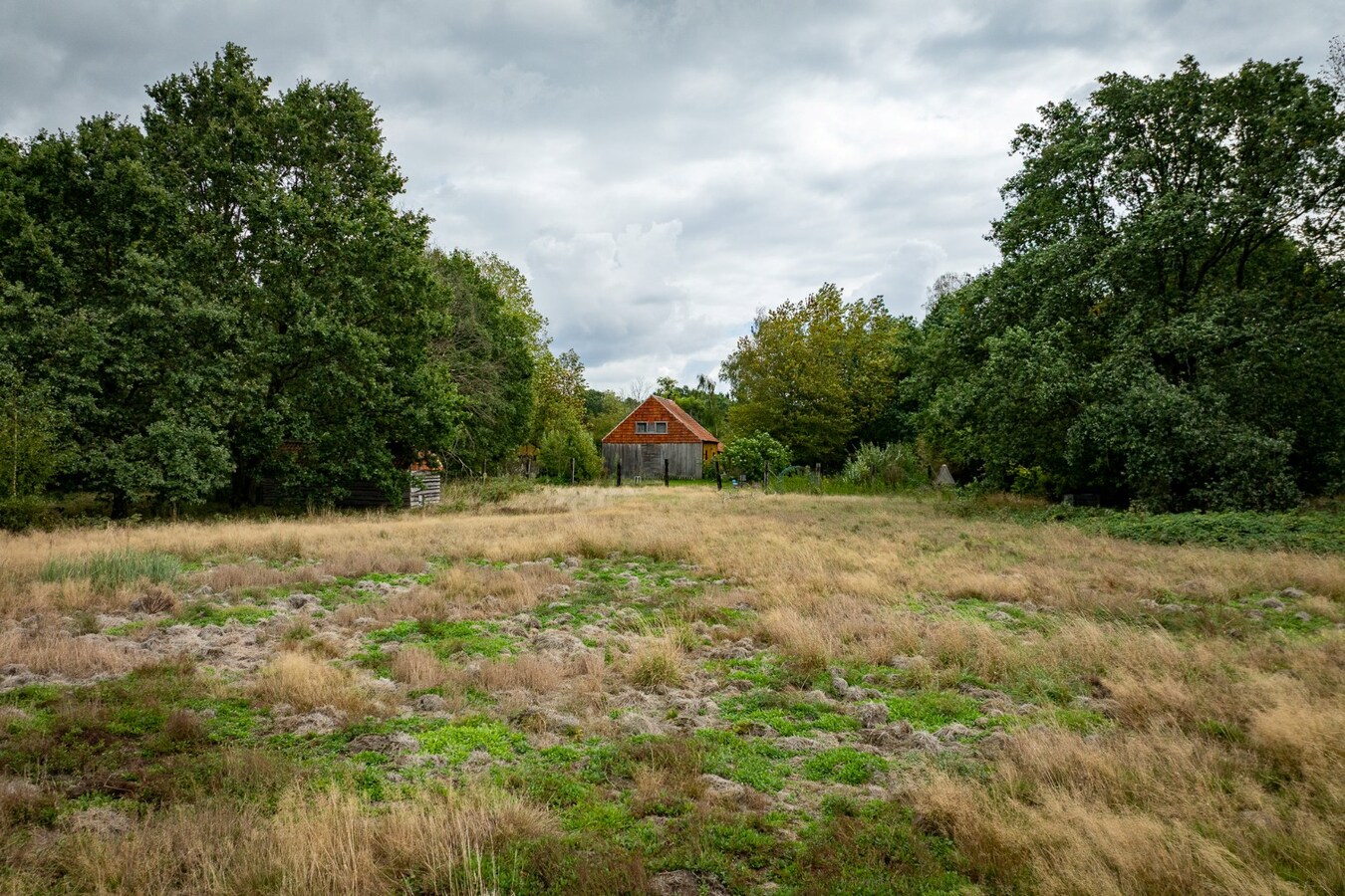 Authentic farm with meadow on approximately 1ha in Ham 