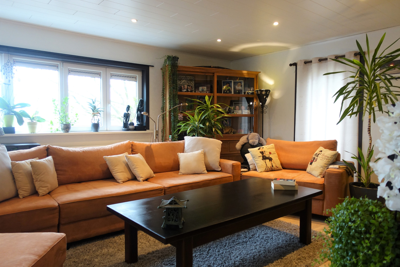 Gezellig en ruim appartement 