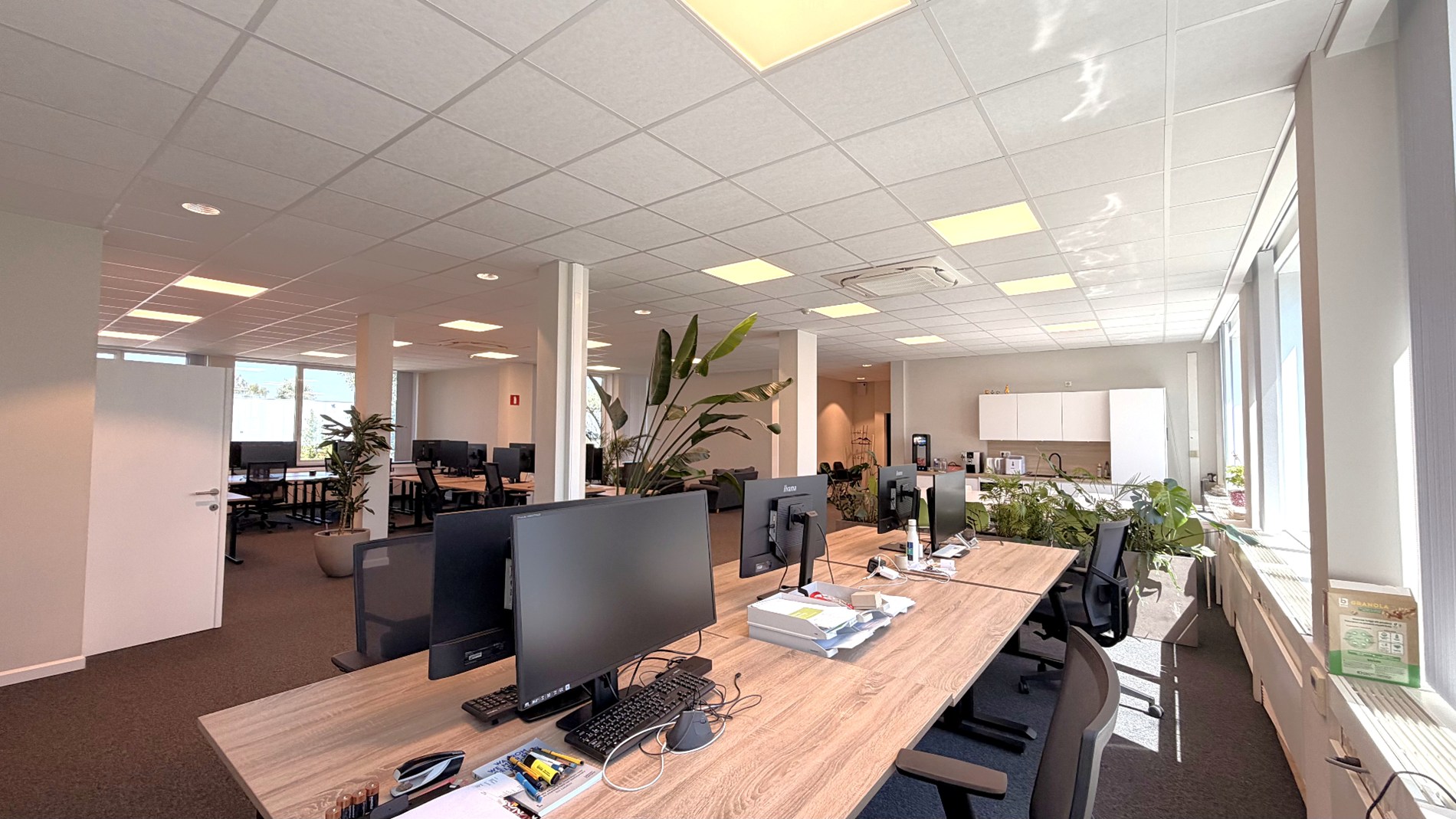 Instapklare kantoren te huur vlakbij N16 in Bornem