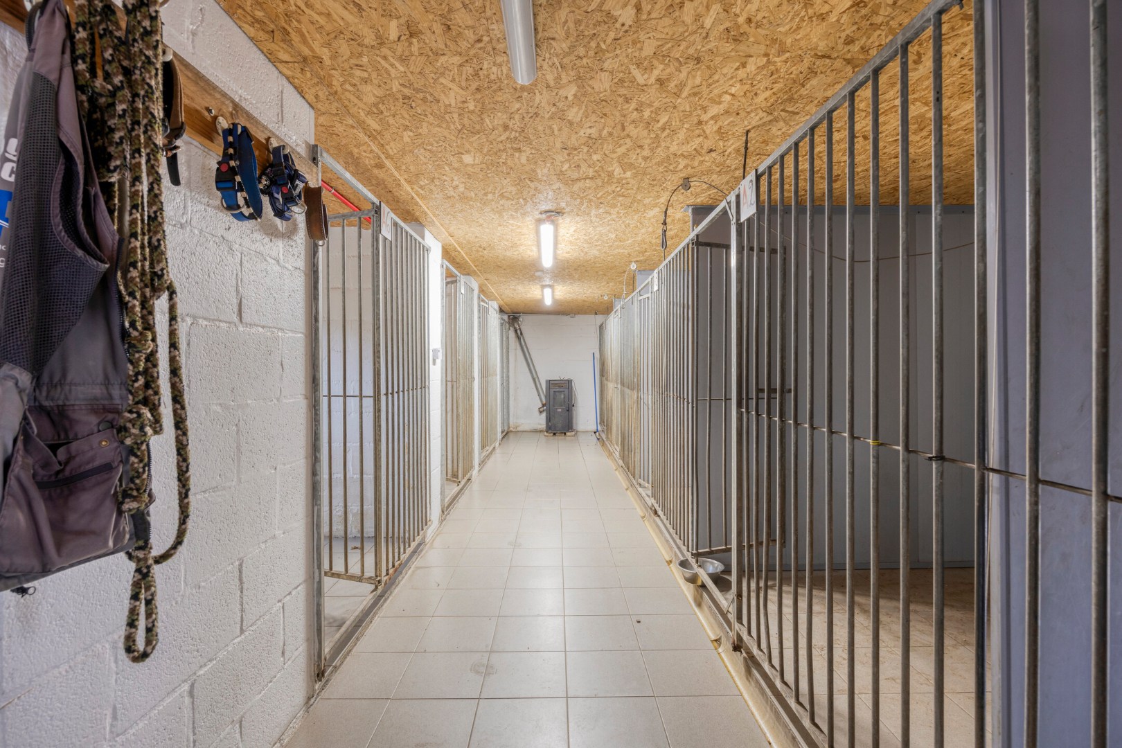 Ruime instapklare woning met 4 slpk. op perceel van 61a 2ca in Mol 