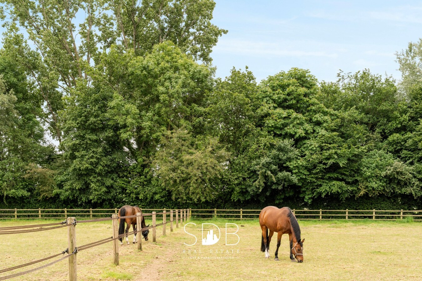 Prachtige villa met hippische accommodatie en graslanden +/-  23 ha 