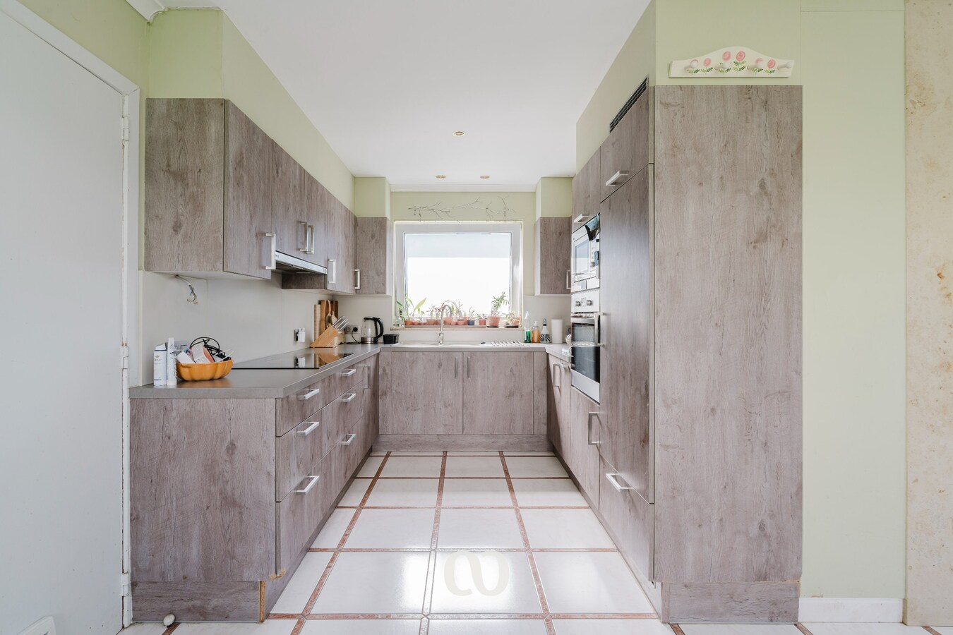 Leuke woning op topligging aan het Wallebos in Oudenaarde 