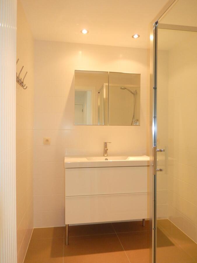 Prachtig volledig gerenoveerd appartement met groot terras 