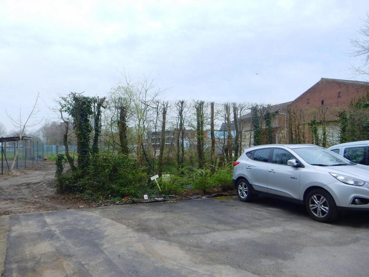 Lichtrijk tweeslaapkamerappartement te Kuurne 