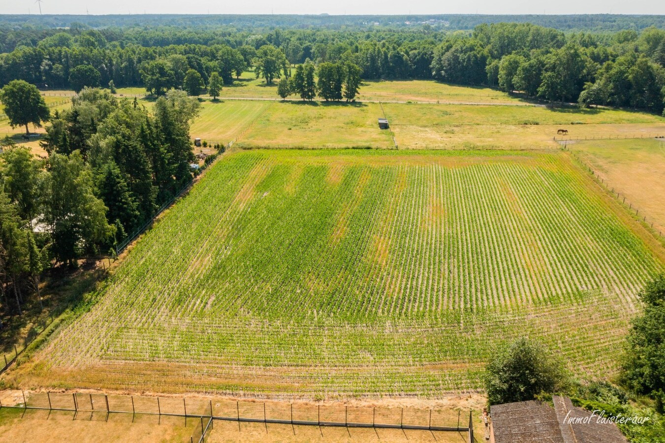 Belle maison avec écurie et terrain d'environ 1,63 ha à Opglabbeek (Oudsbergen) 