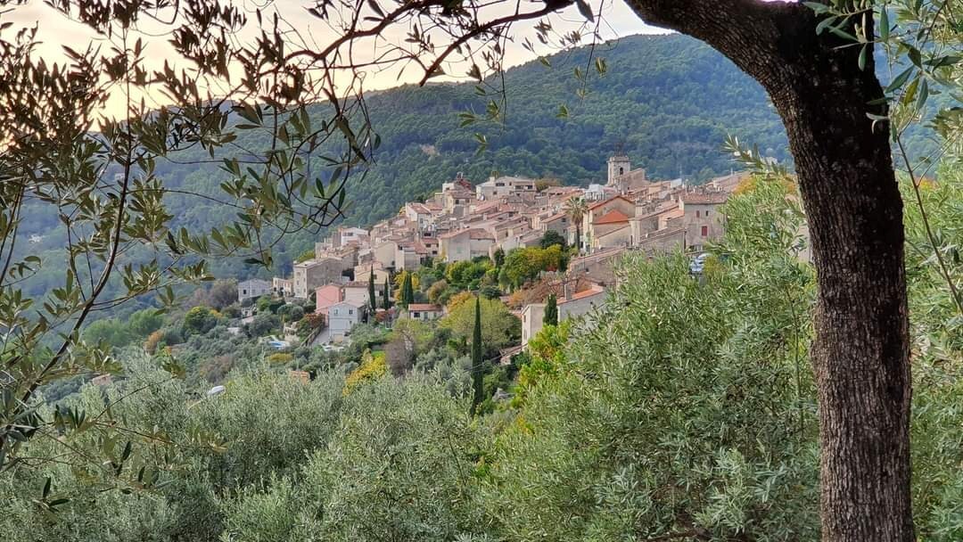 KNUSSE UNIEKE WONING IN HARTJE PROVENCE 