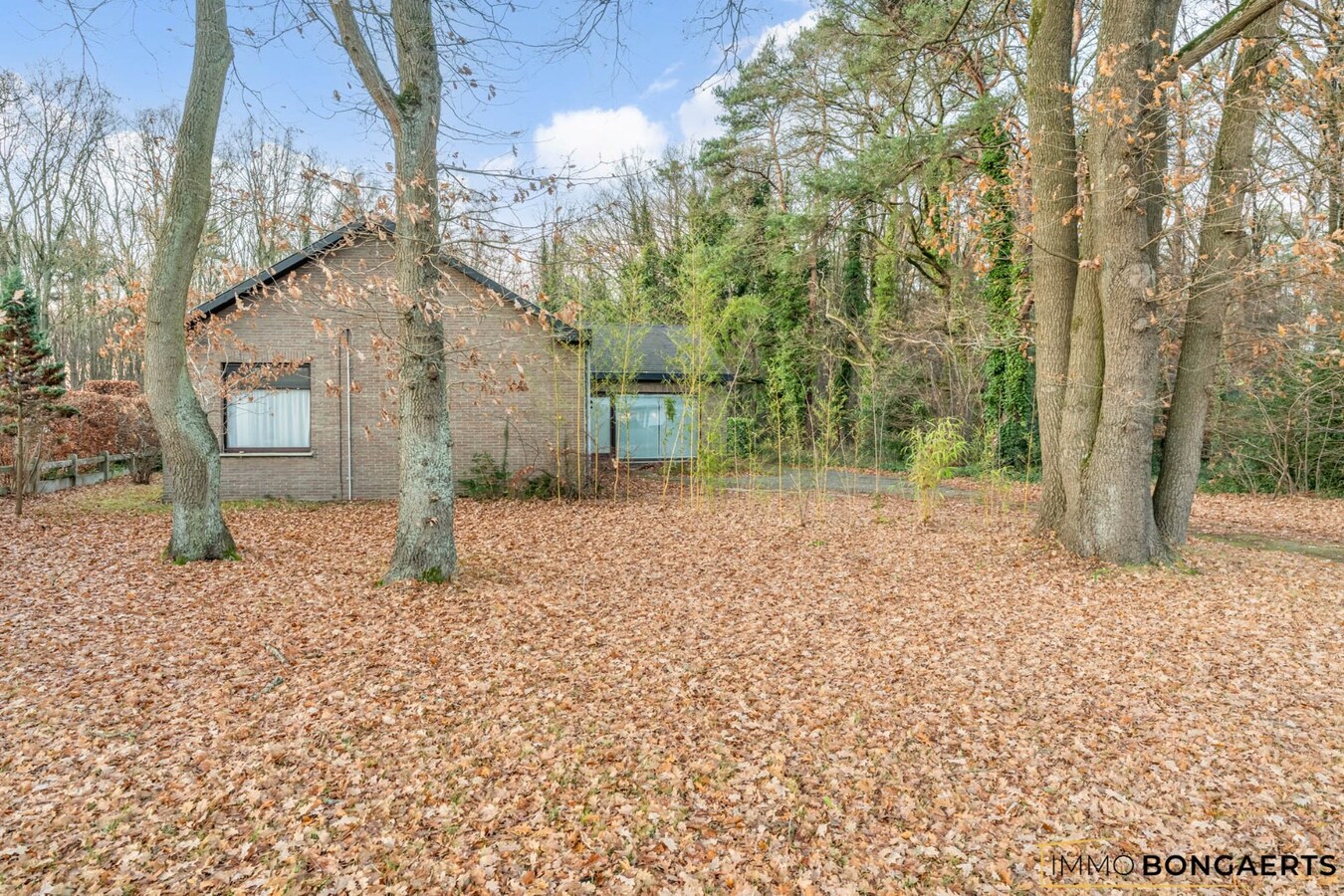 Gelijkvloerse woning met polyvalent bijgebouw 