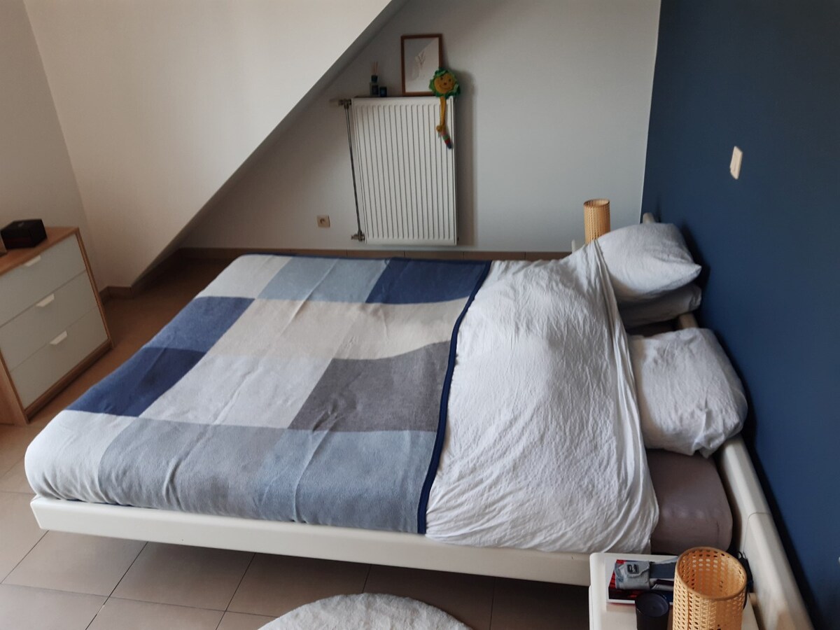 Lichtrijk dakappartement (geen vaste kosten). 