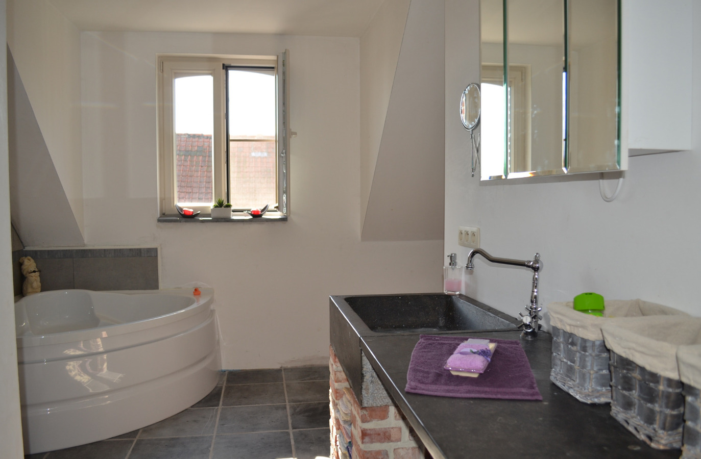 Prachtig landhuis met schuur op ca. 4600M² te Zwijndrecht 