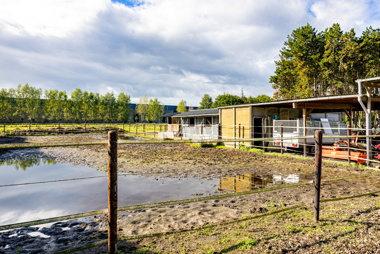 Energiezuinige woning op 6.229 m² met 4 slpks én ideaal voor paardenliefhebbers te Adegem 