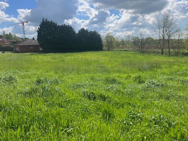 Te koop grond - Begijnendijk