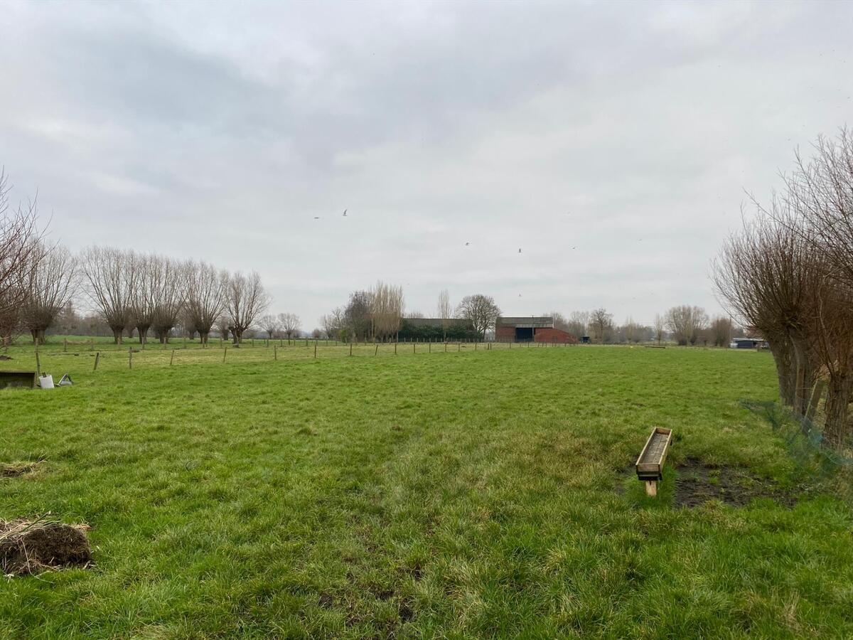 Stuk weiland te Roksem 