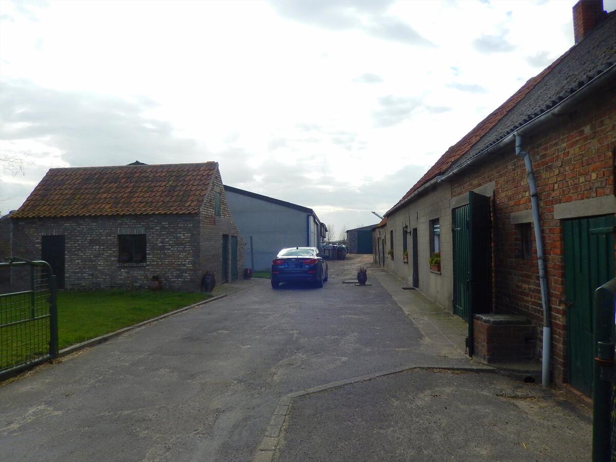 Te renoveren hoeve met stallen en weiland 