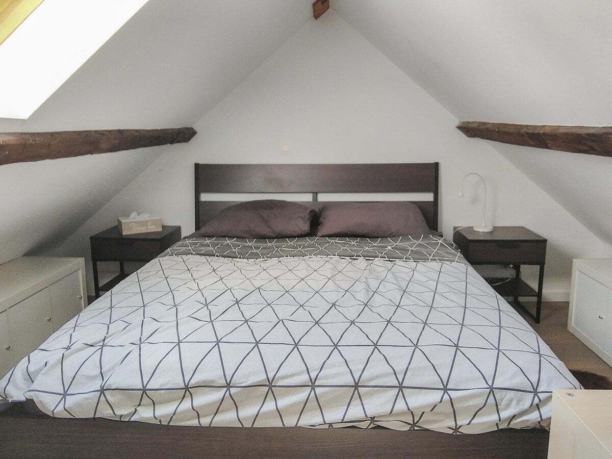 Gezellige werkmanshuisje met terras te Gent 