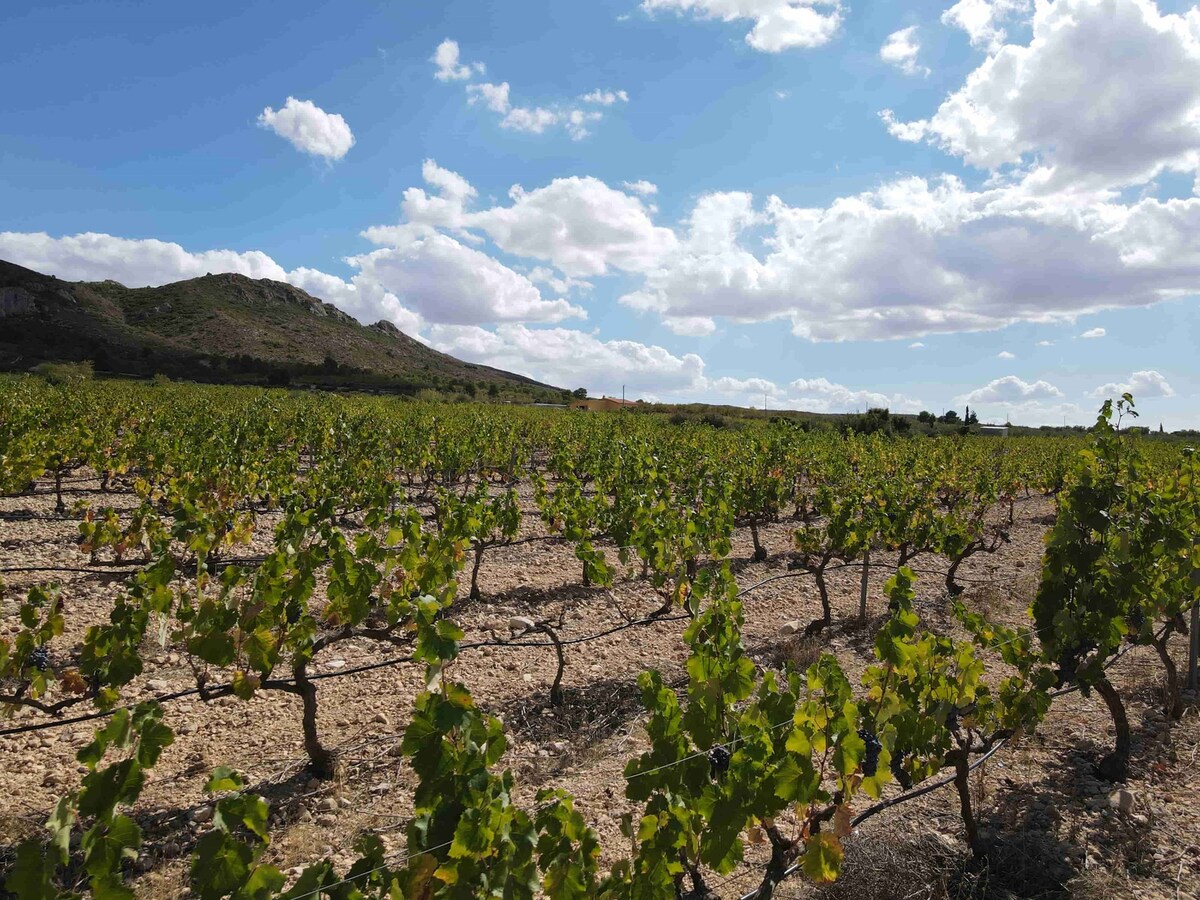 Villa te koop in Murcia