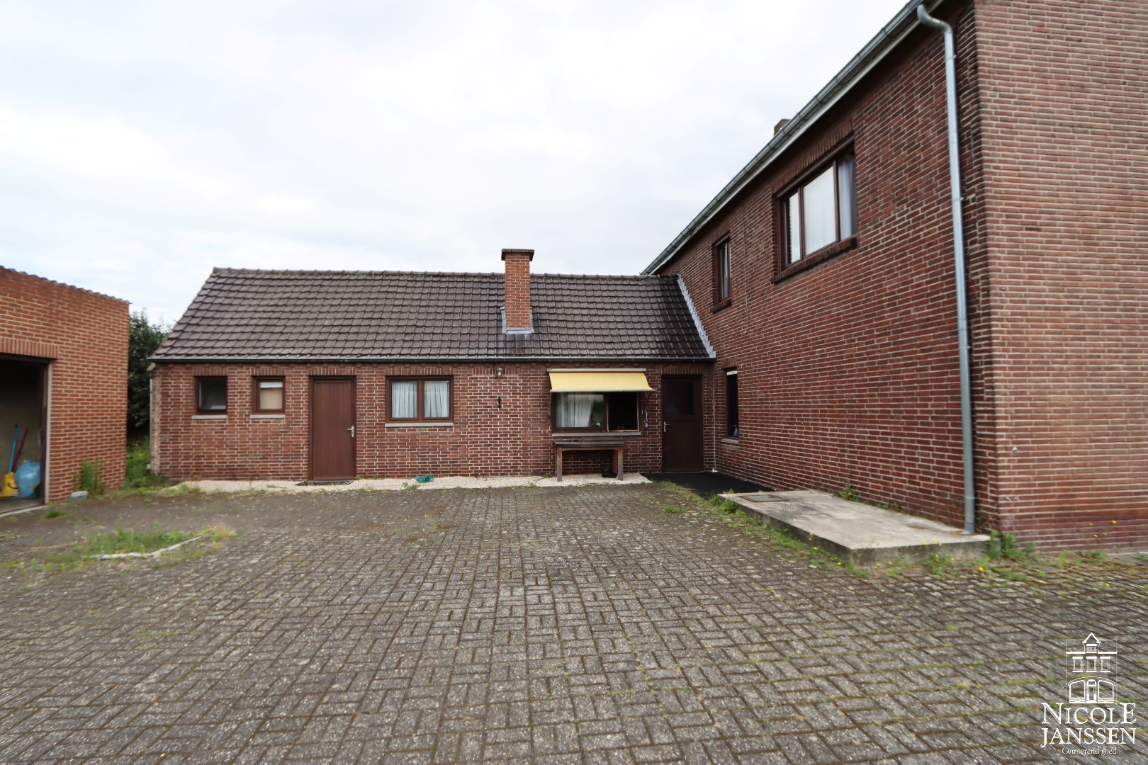 Grote beklinkerde koer