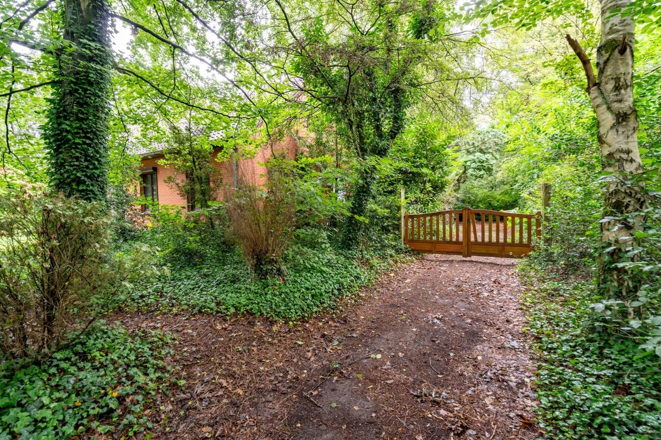 Woning op zeer rustig gelegen en ruim perceel. 