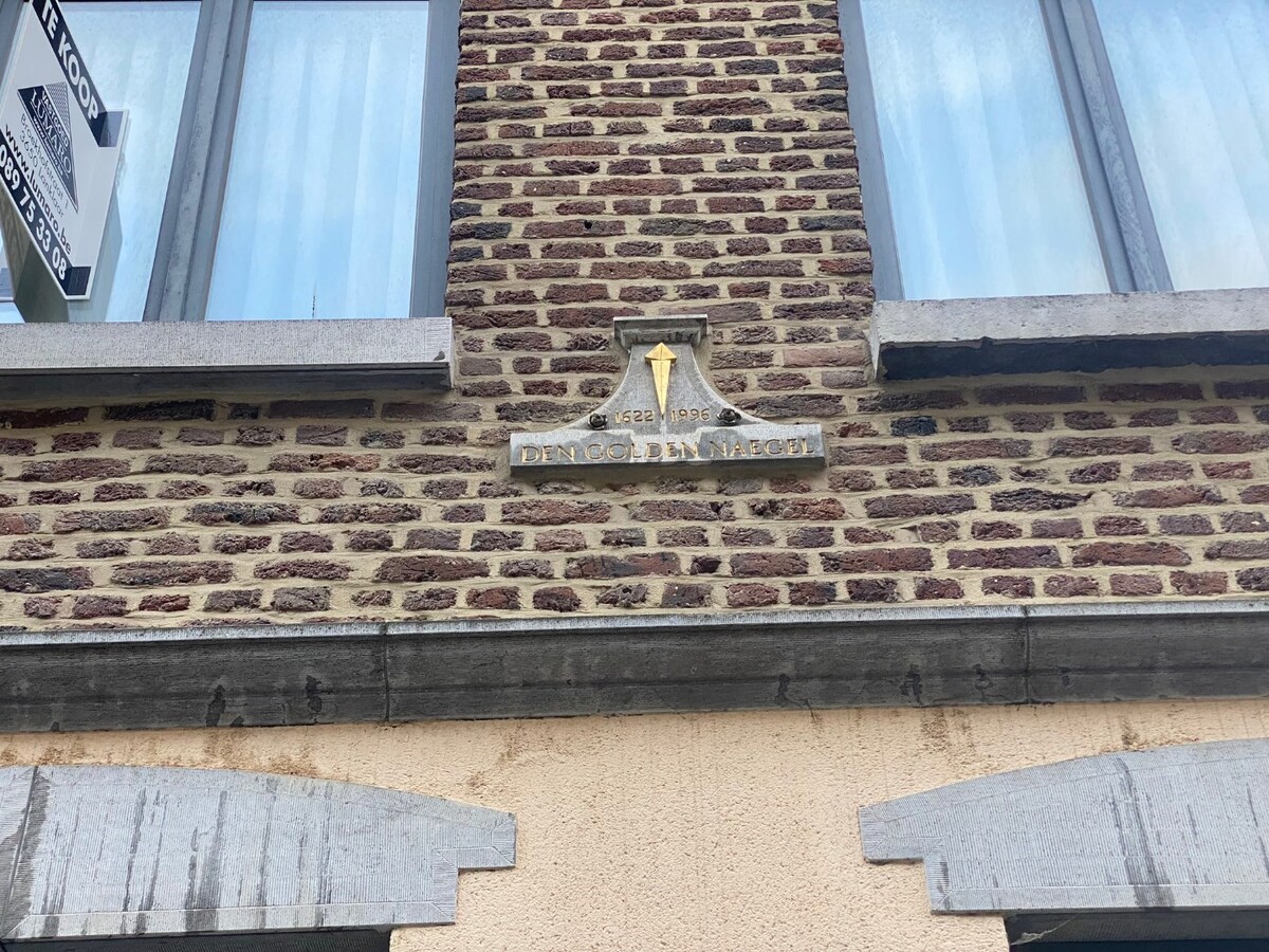 Burgerhuis 'Den Golden Naegel' - aan de Markt - lift - overdekte parking - IN PRIJS VERLAAGD! 
