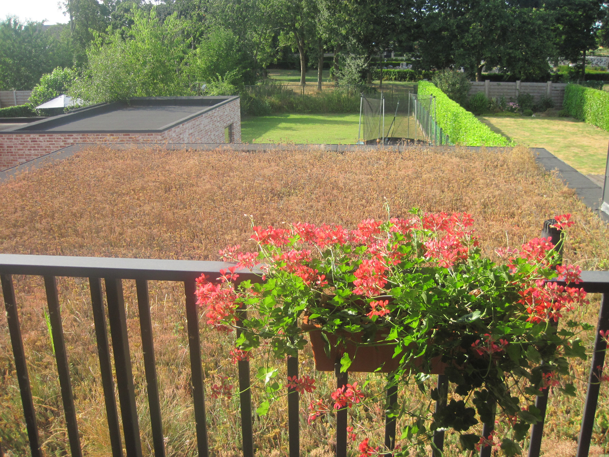 Nieuwe, ruime duplex!   GEEN VASTE KOSTEN !! 