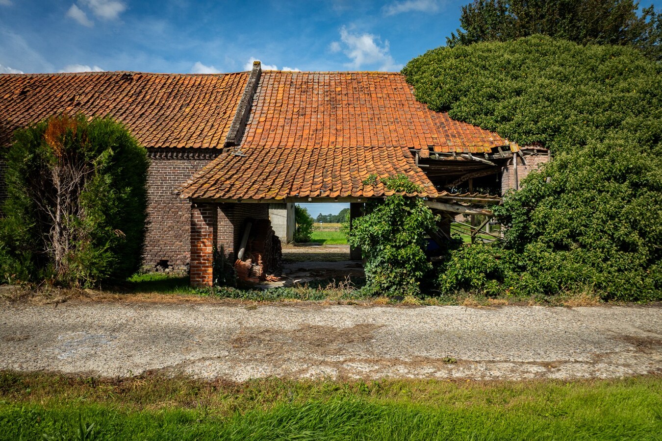 Hoeve met stalgebouwen op ca. 1ha te Bree 
