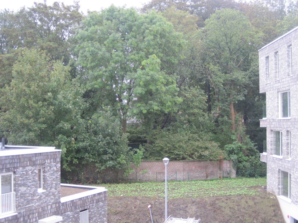 Groen wonen in de Weverij.    2-slp-appartement met een autostaanplaats. 