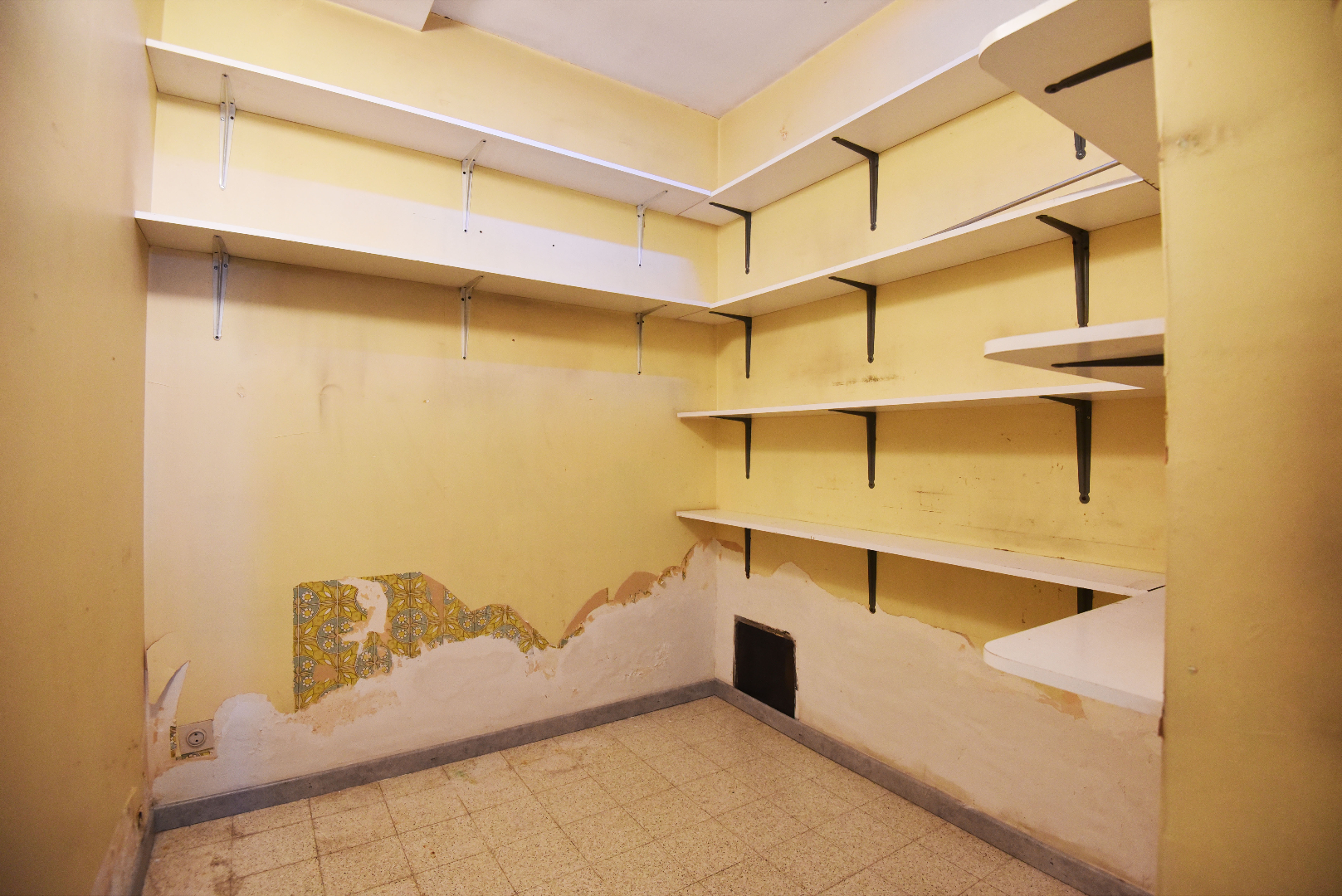 Te renoveren HoB met 3 slpks, tuin met zicht op weilanden te Adegem 