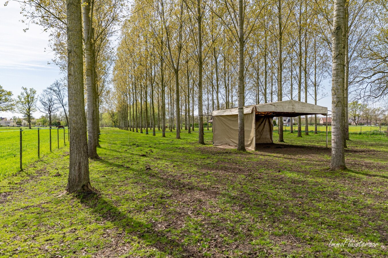 Woning met stalgebouwen en buitenpiste op ca. 6ha te Bocholt 