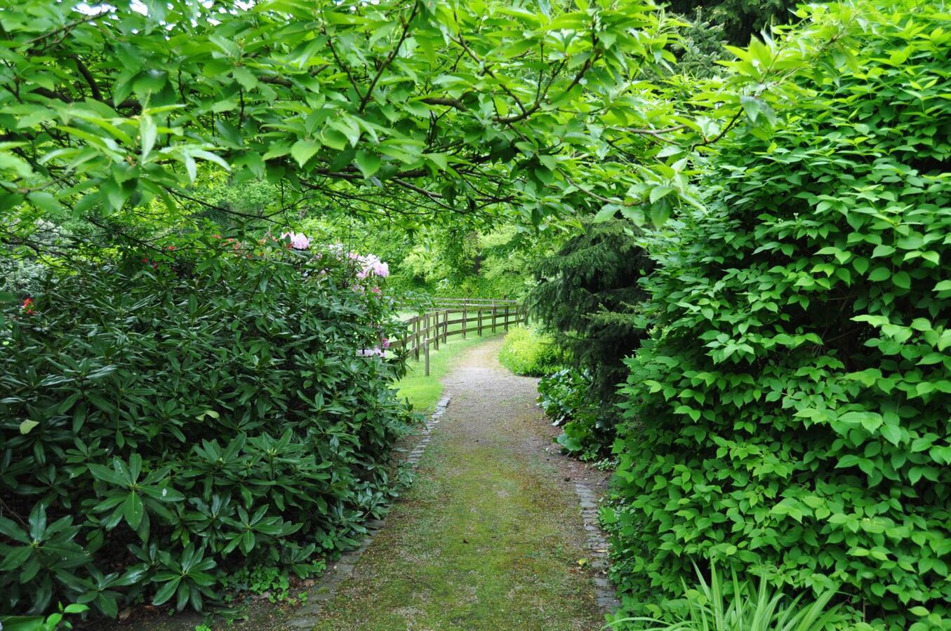 Ruime villa met stallingen en weide op 4900m² te Schoten 