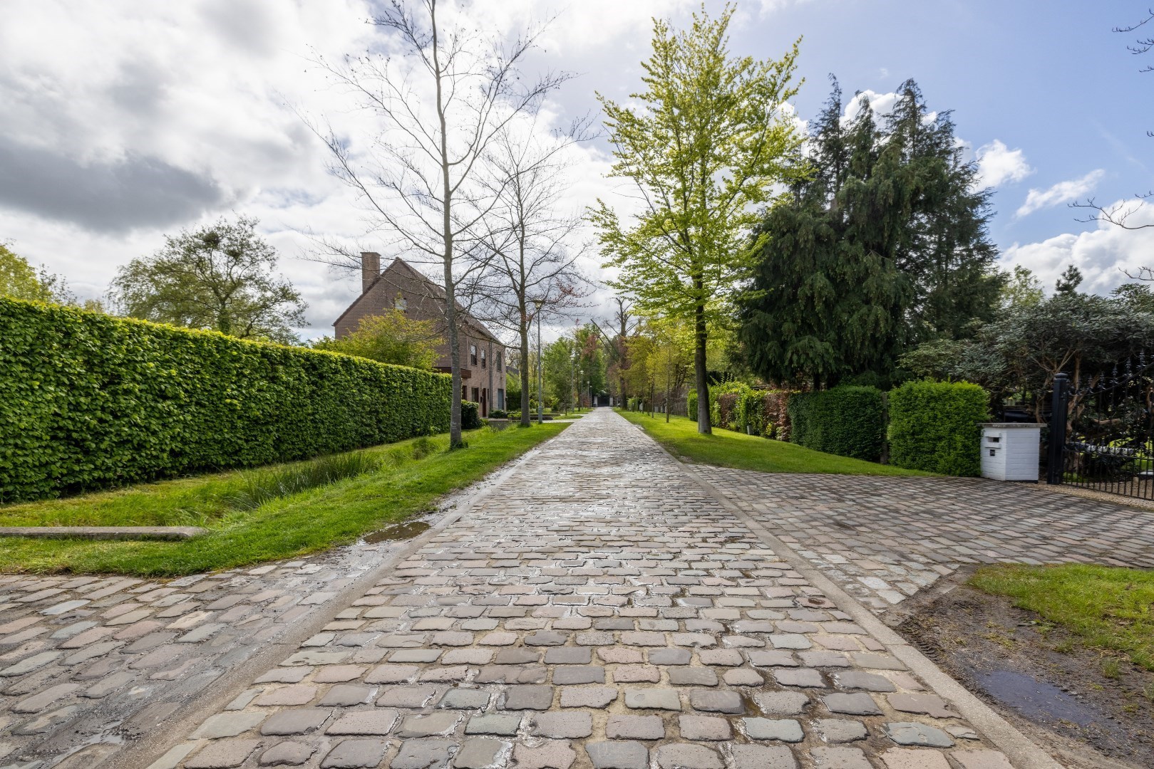 Charmant renovatieproject op een mooi groen hoekperceel in het geliefde Baarle! 