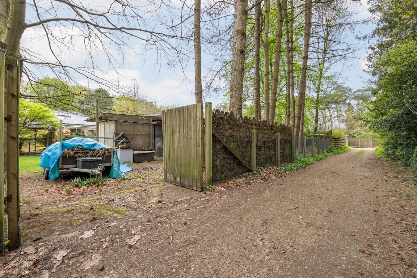 Rustig wonen in het groen –  gelijkvloerse woning op riant perceel van 2178 m² 