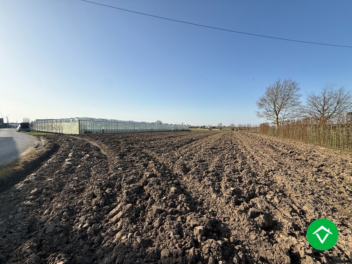 Bouwgrond (1291m²) op één rustige, gunstige ligging te Gits 