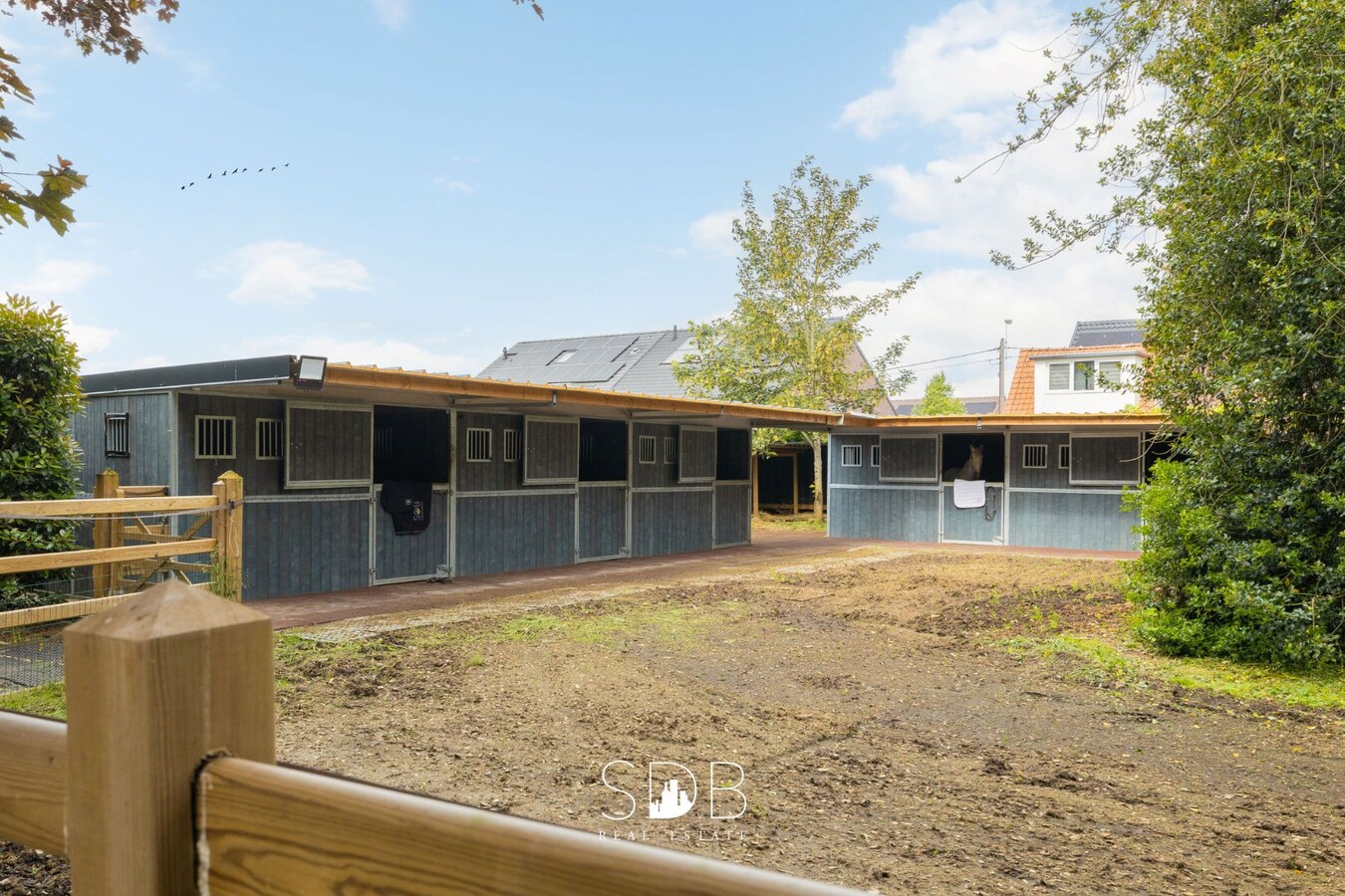 Prachtige villa met zwembad, paardenstallen, paddock en grasland op 1,3HA 