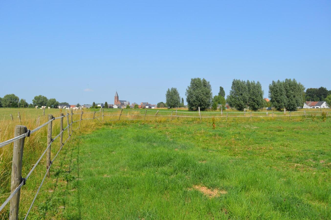 Gerenoveerde woning op ca. 6500m² te Buggenhout 