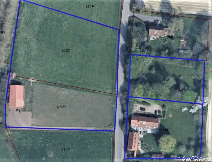 Magnifique propriété avec grande habitation, écuries, salle polyvalente, terrain à bâtir et prairies sur environ 1,67ha à Ellezelles (Hainaut) 