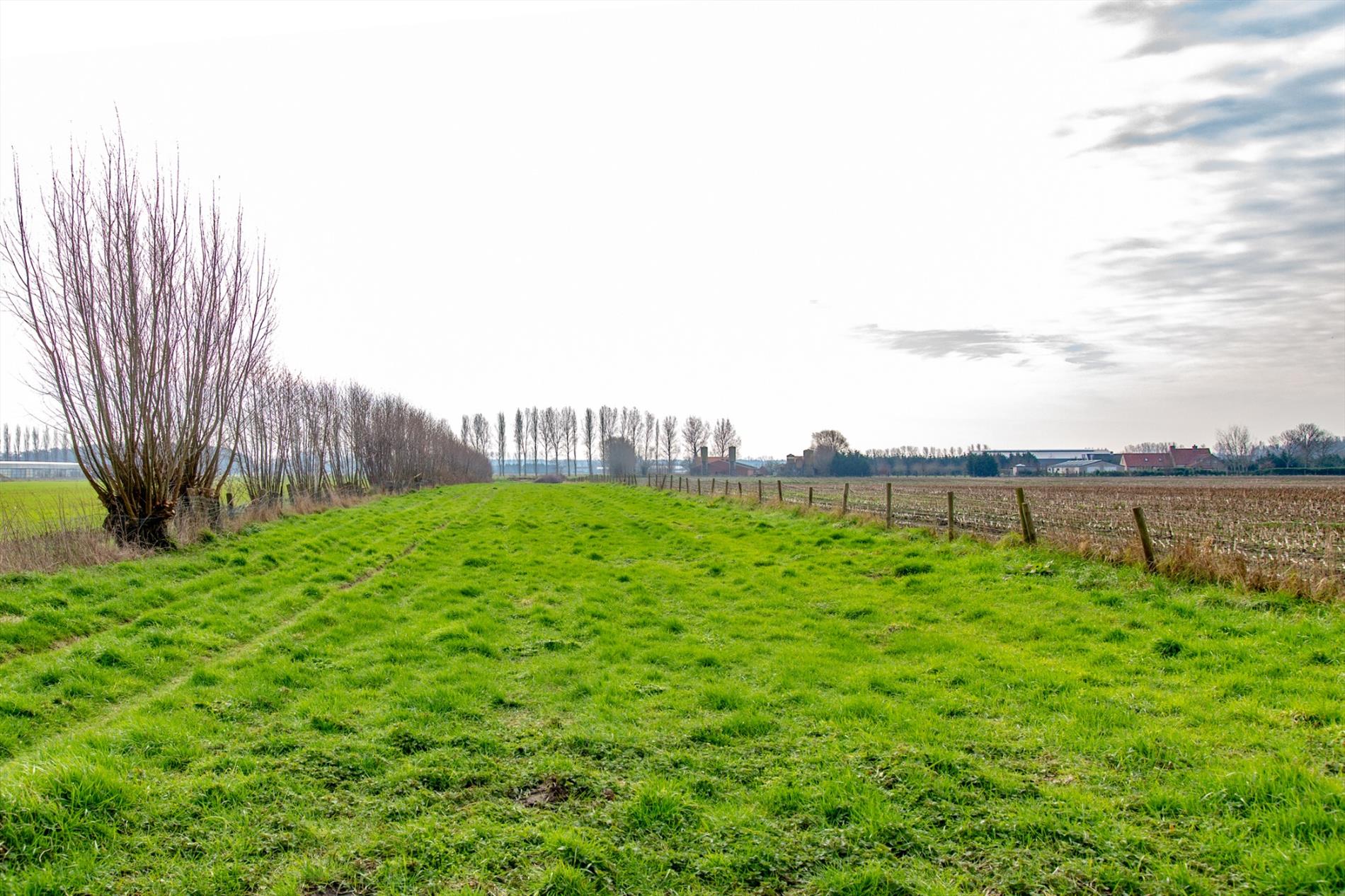 Te renoveren / herop te bouwen woning op 4.543 m² landelijk gelegen te Moerkerke 