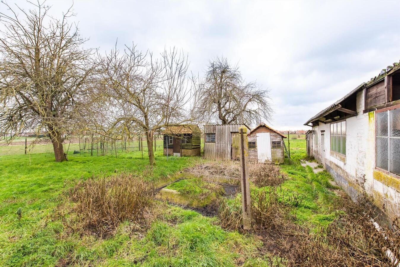 Landelijk gelegen woning met bijgebouwen op 9070m² 