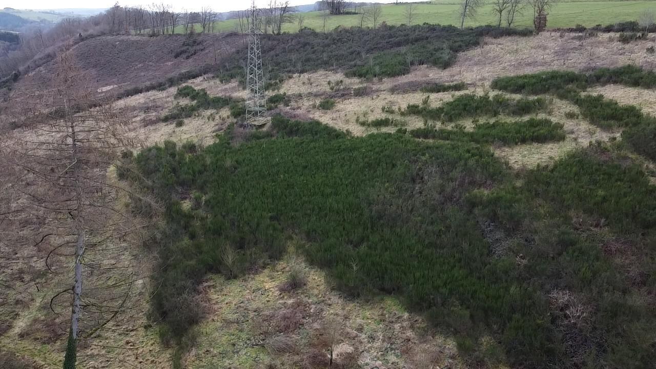 Perceel van 4ha gelegen in agrarische zone 