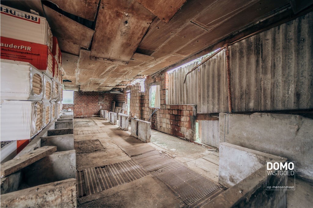 Ruime boerderij met stallingen en een prachtig groen uitzicht. 