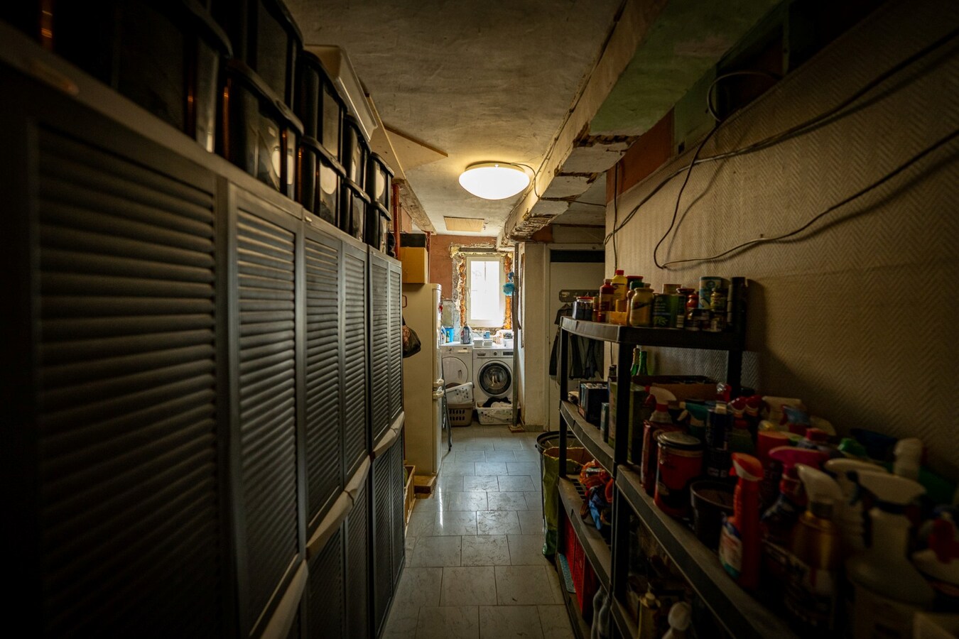 Ruime woning met buitenpiste en kleine binnenpiste op ca. 1,03ha te Hoeselt 