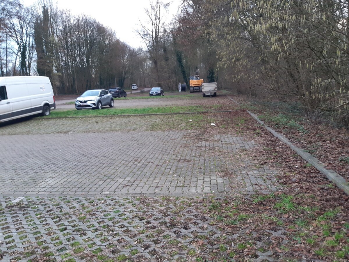 Gezellig 1 slpk-appartement / loft met terras. 