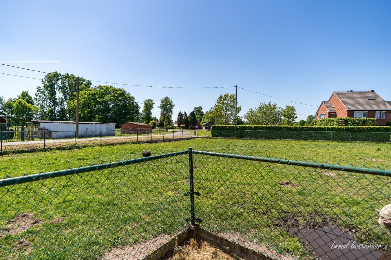 Gerenoveerde gezinswoning met ruime loods en weilanden op ca. 1,43 ha te Pelt 