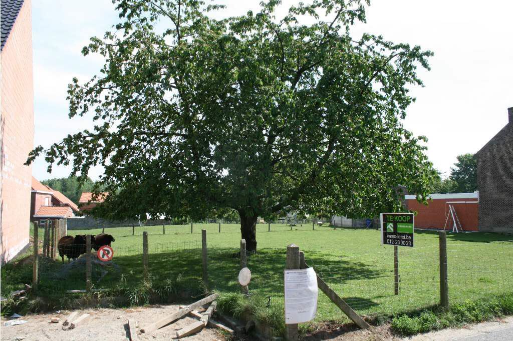 Verkocht grond - Tongeren