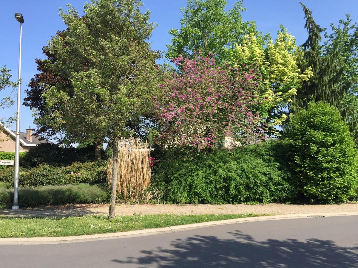 Bouwgrond van 5a75ca voor een open bebouwing 