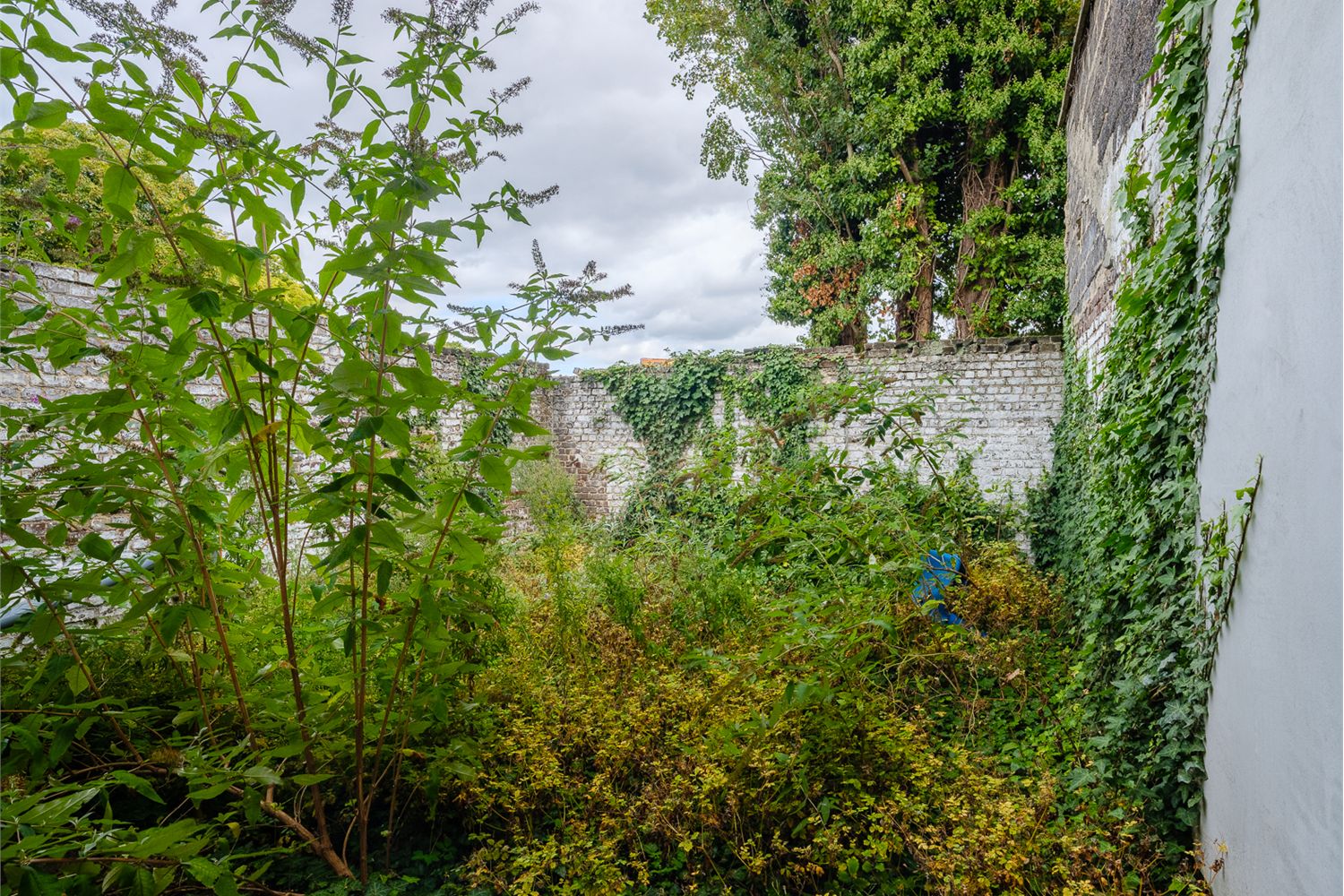 Opbrengsteigendom gelegen te Rooigemlaan! 